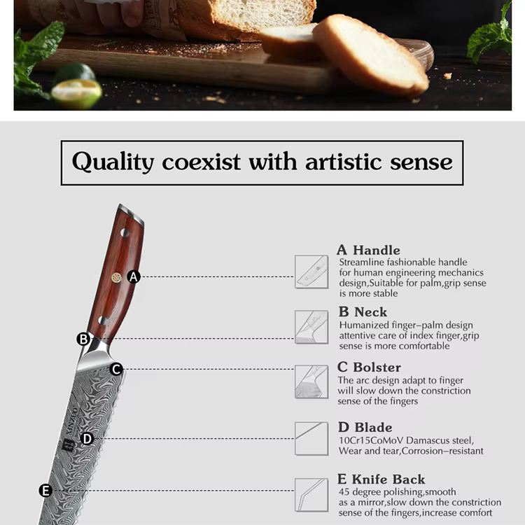 XINZUO B27 Yi Bread Knife 8.5“ 19
